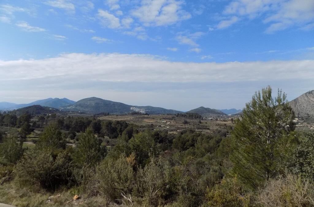 Se vende parcela rústica en Benigenbla