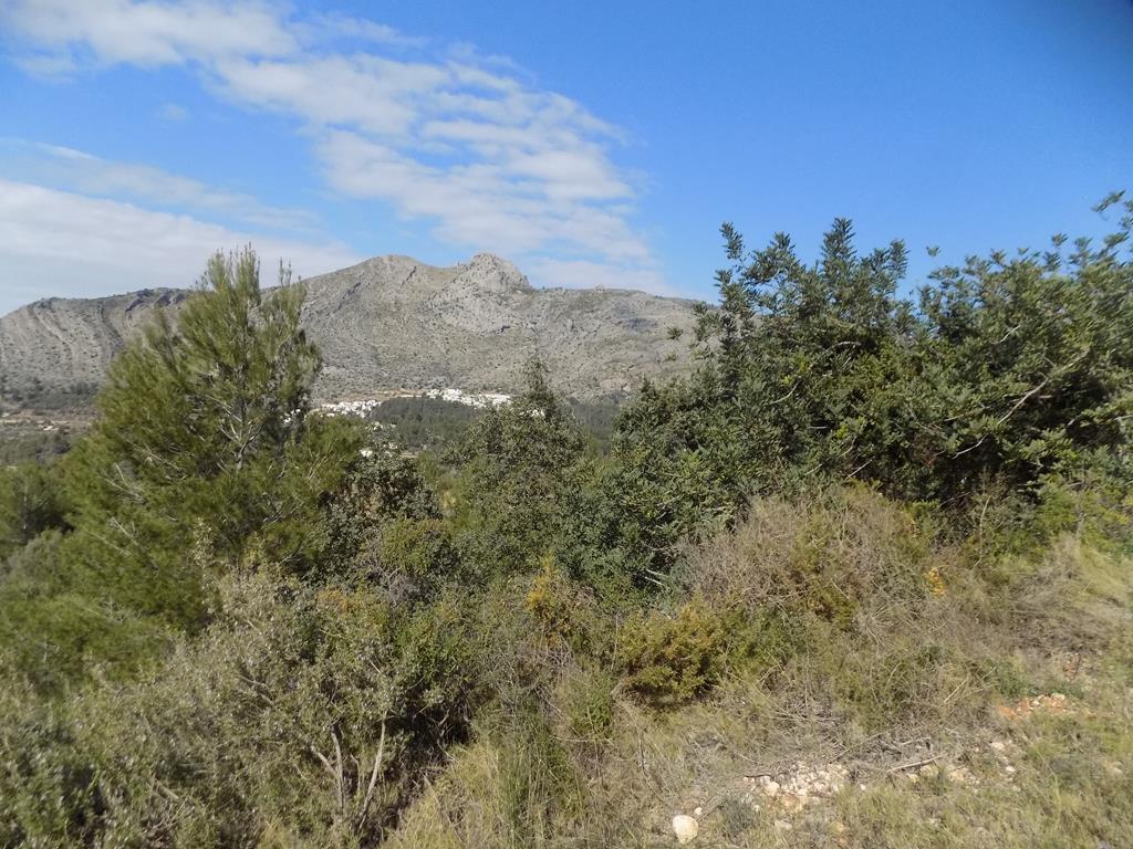 parcela-rustica en benijembla ·  95000€