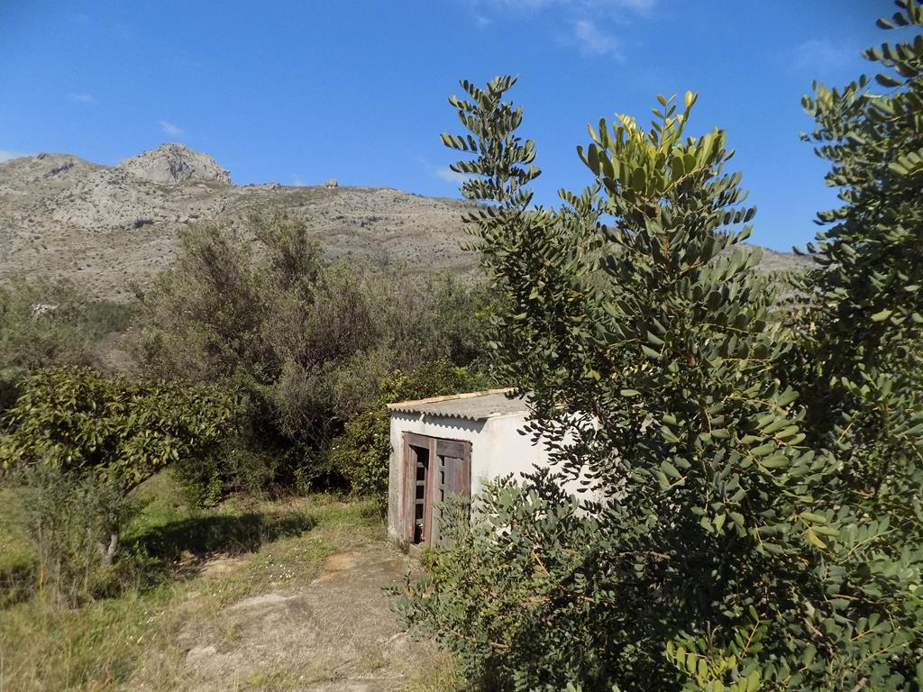 parcela-rustica en benijembla ·  95000€