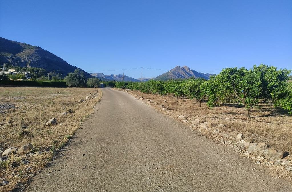 Se vende parcela rústica en Alcalalí