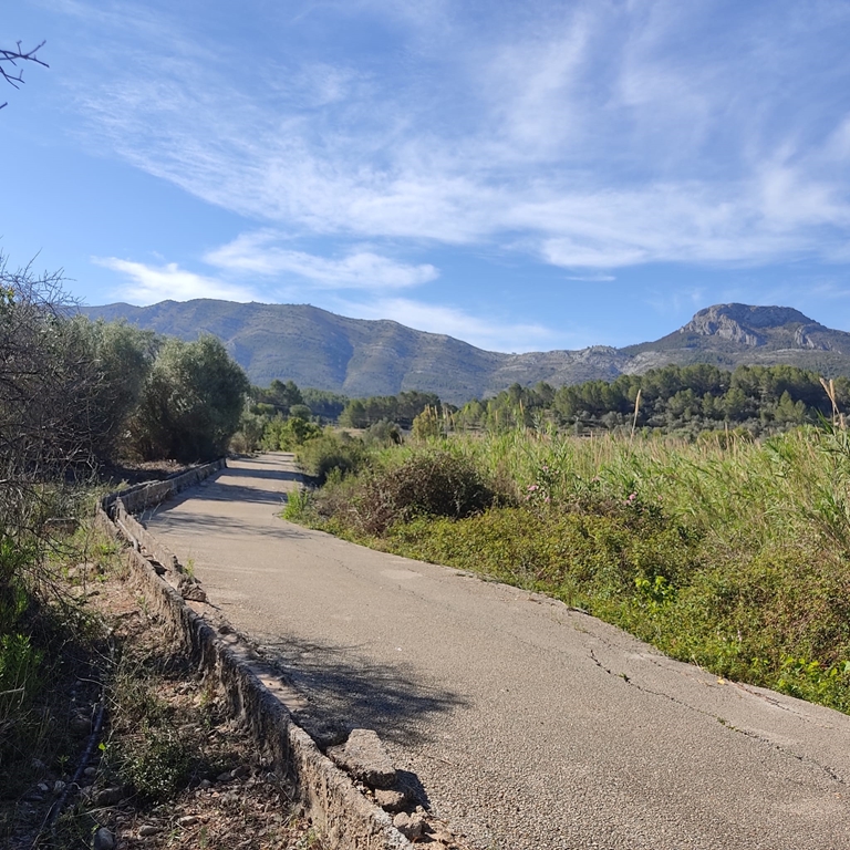 Se vende parcela en Alcalalí