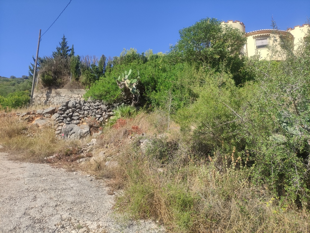 parcela-urbana en llosa-de-camacho ·  68000€