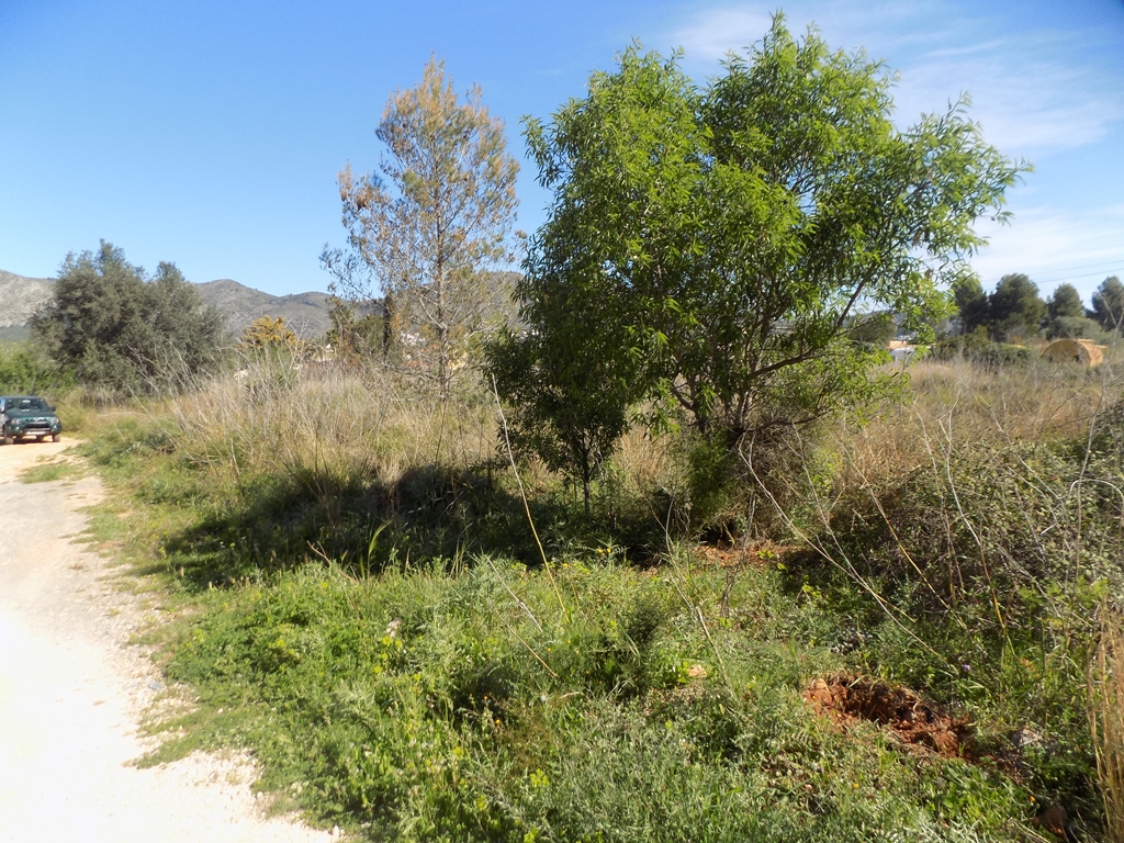 parcela-urbana en jalon ·  110000€