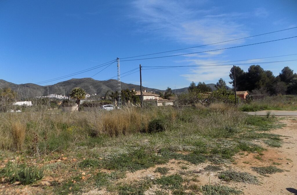 Se vende parcela urbana en Jalón