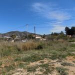 Se vende parcela urbana en Jalón