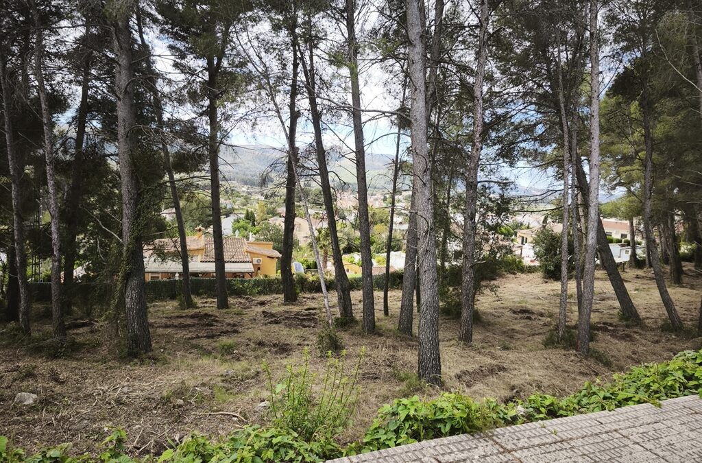 Se vende parcela urbana en Alcalalí