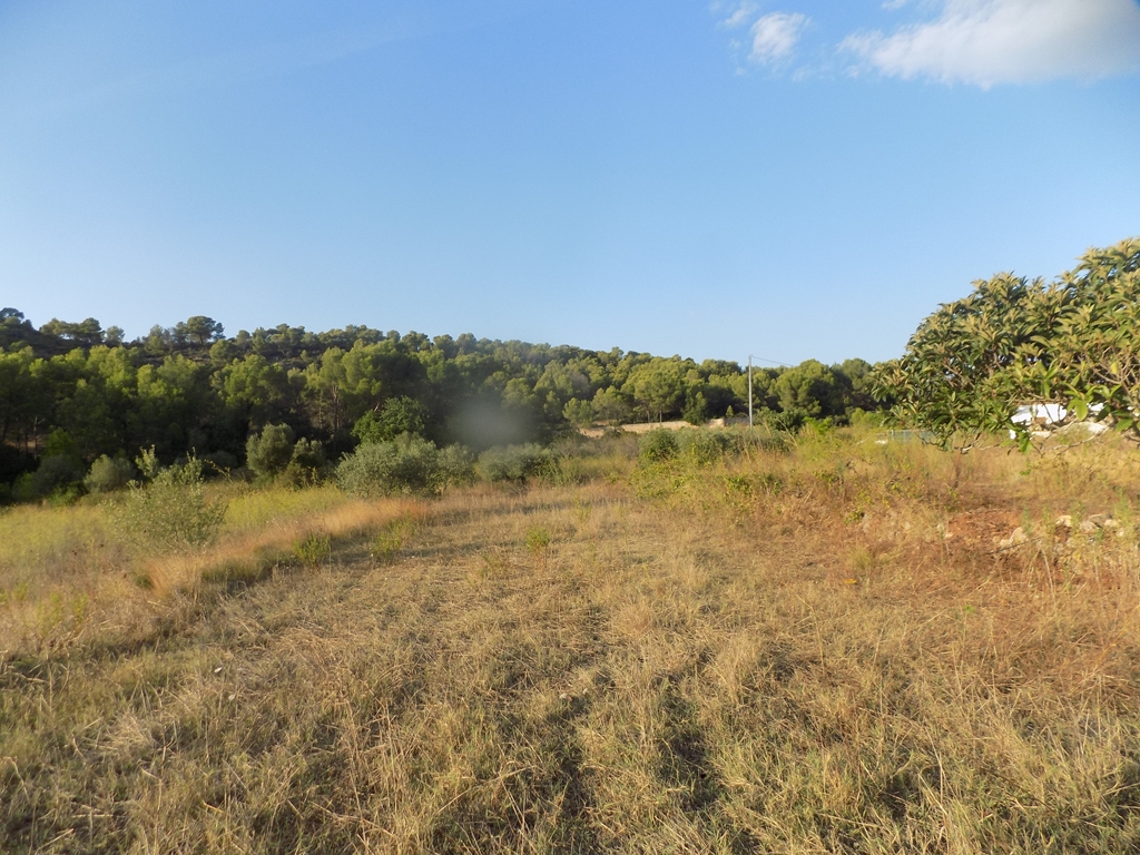 parcela-urbana en  ·  168000€
