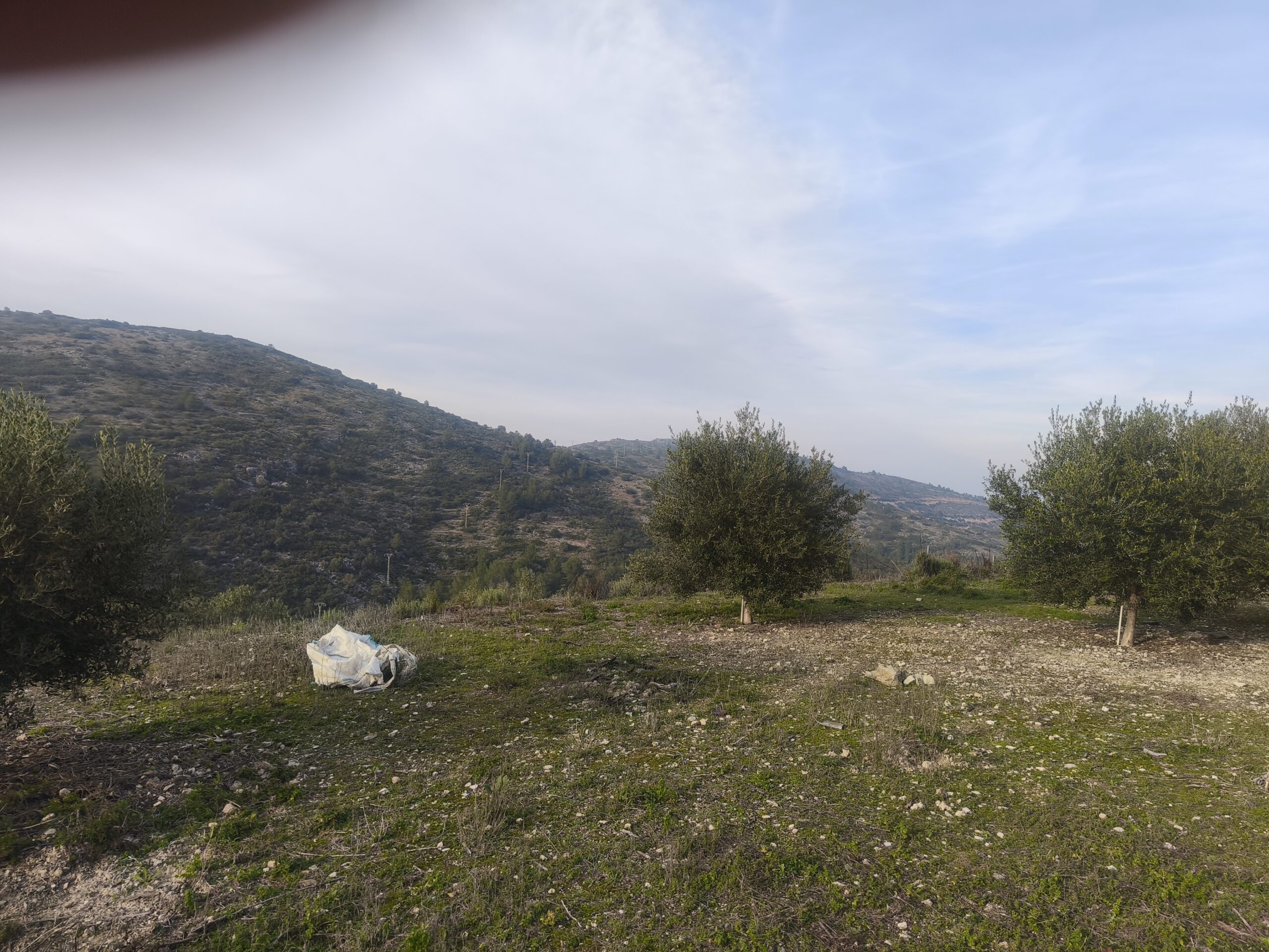 parcela-urbana en llosa-de-camacho ·  80000€