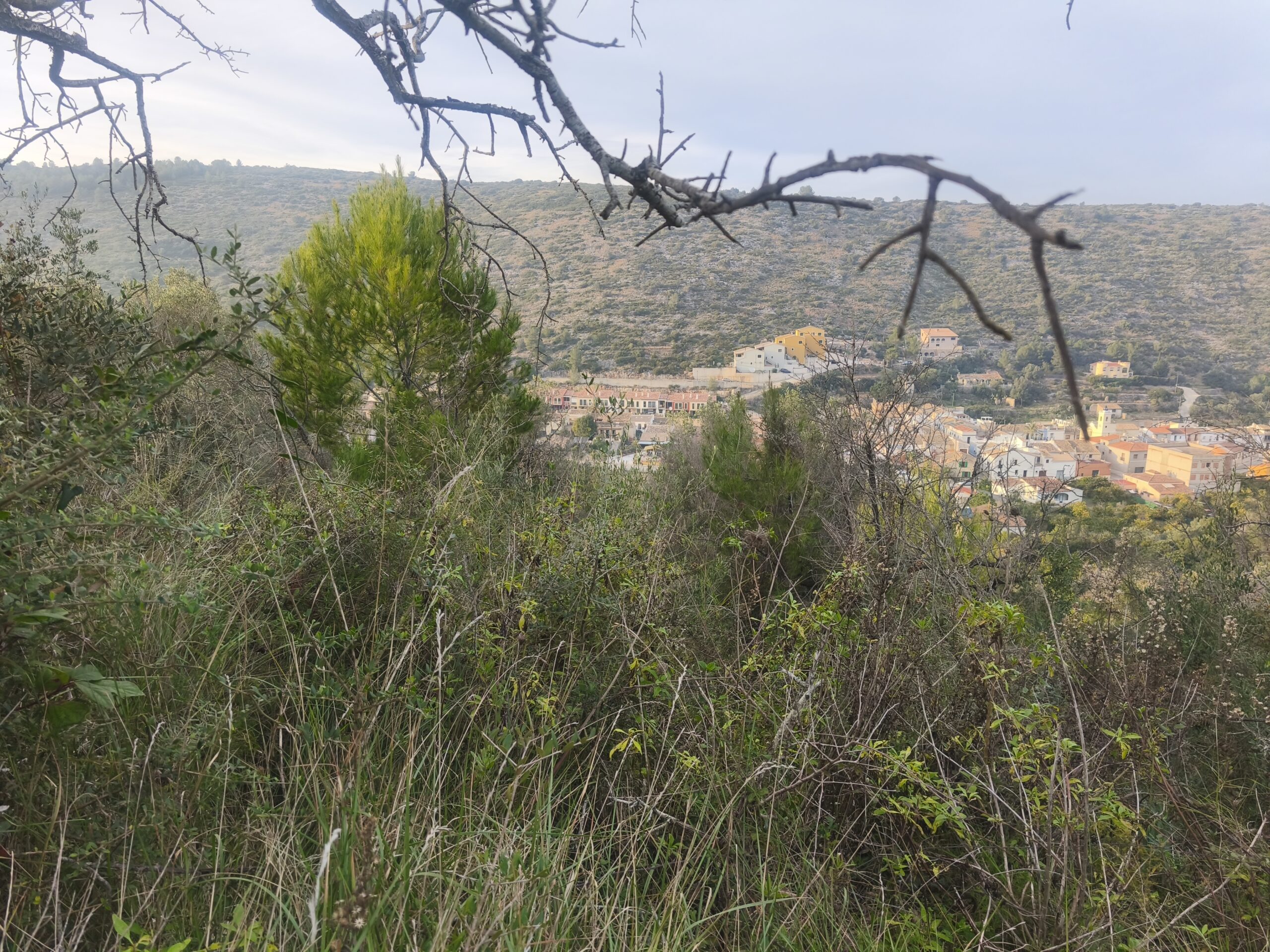 parcela-urbana en llosa-de-camacho ·  80000€