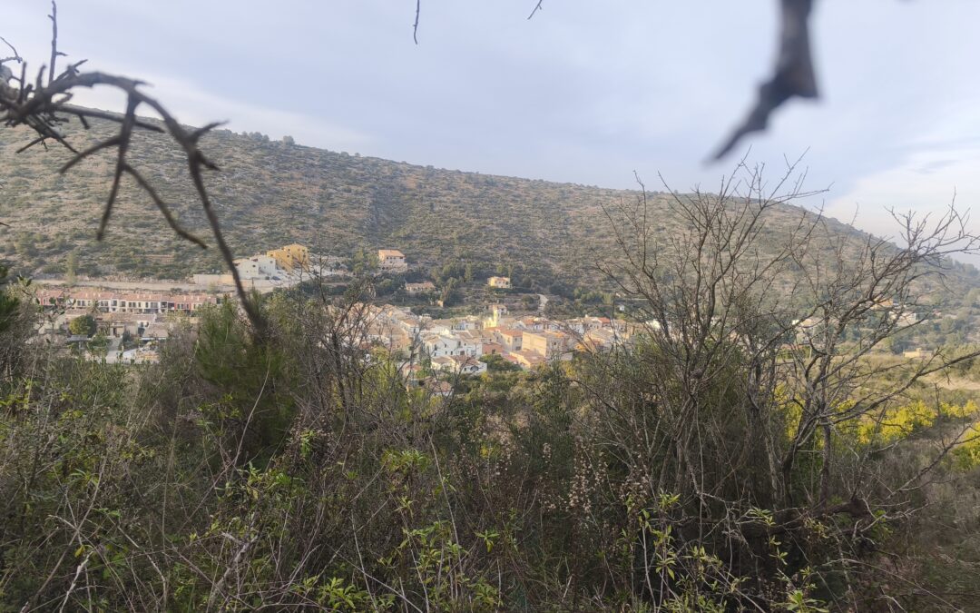 Se vende parcela en la Llosa de Camacho