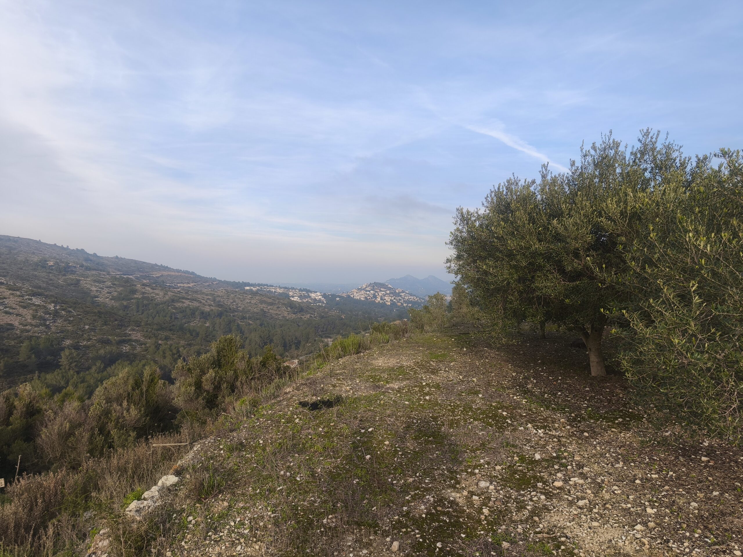 parcela-urbana en llosa-de-camacho ·  80000€