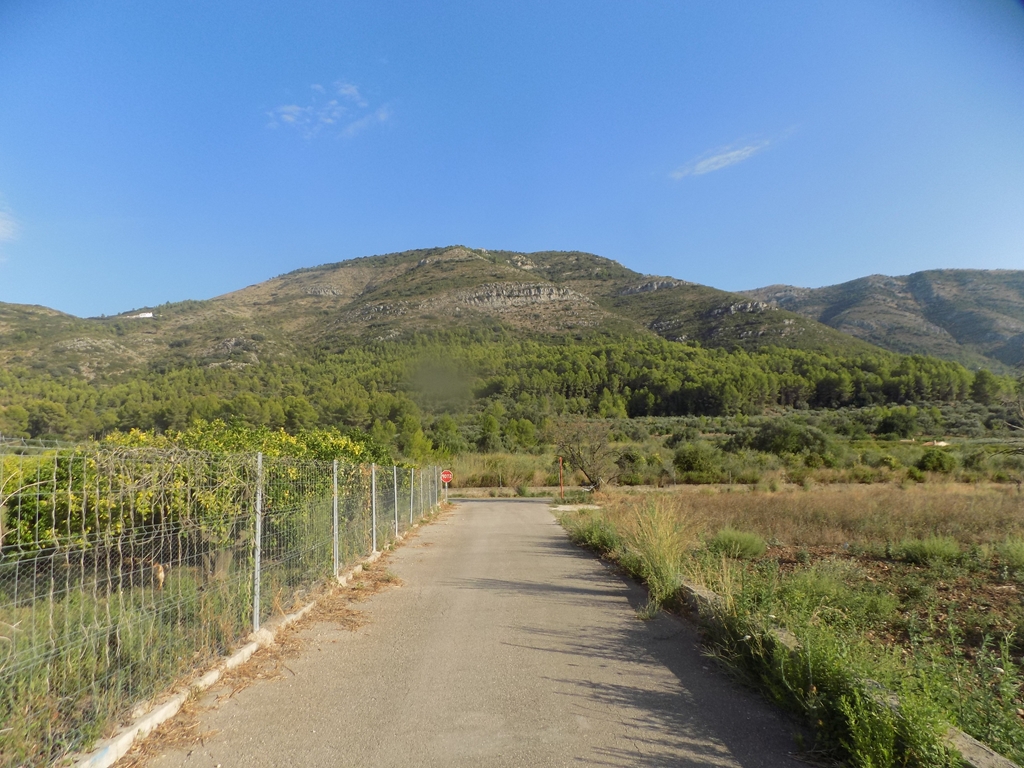 parcela-rustica en murla ·  106000€