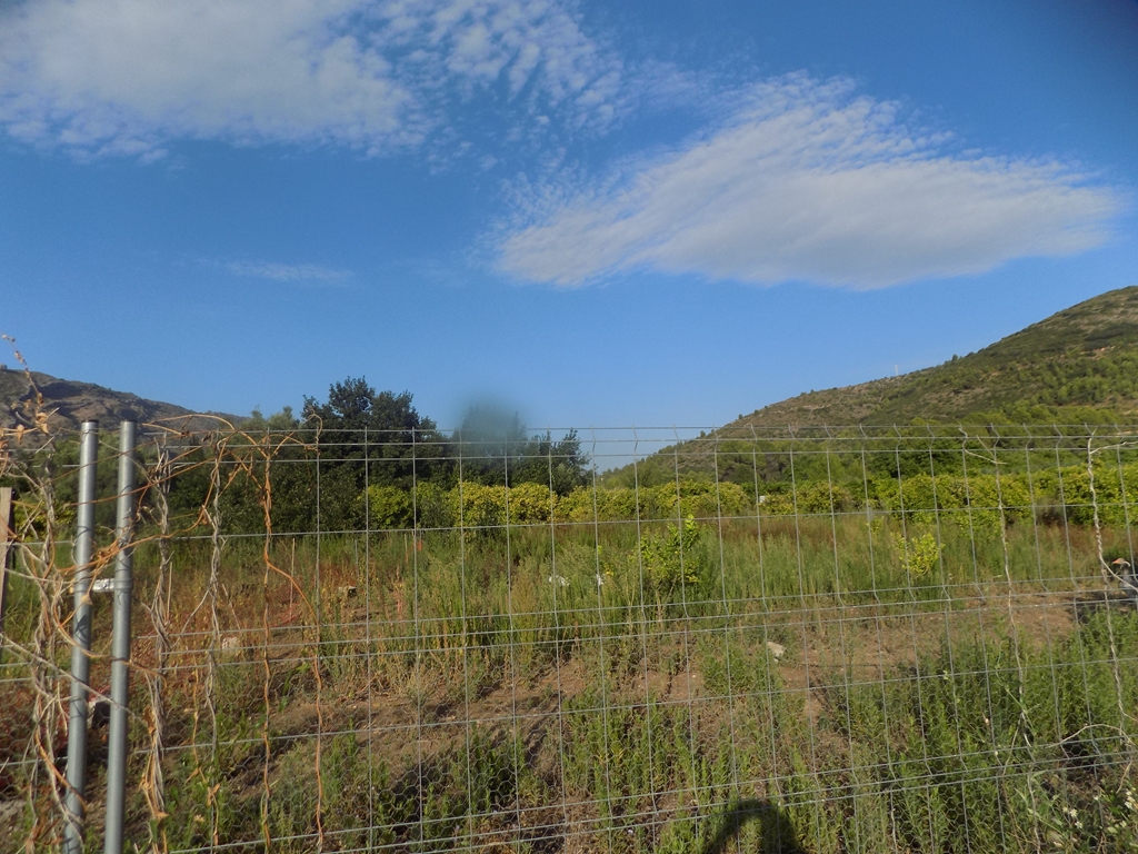 parcela-rustica en murla ·  106000€