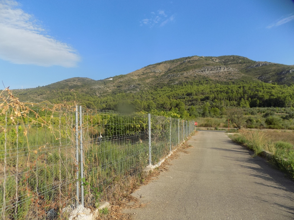 parcela-rustica en murla ·  106000€