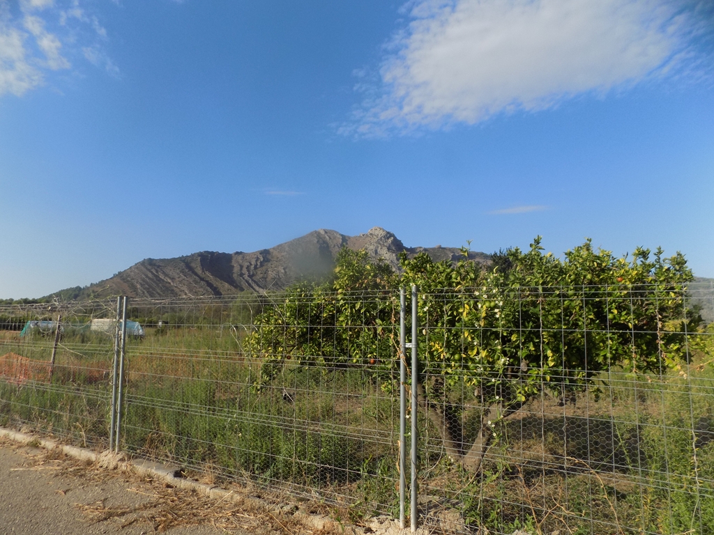 parcela-rustica en murla ·  106000€