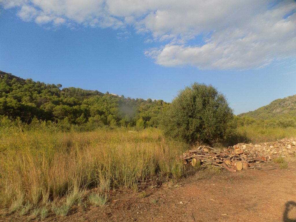 terreno-urbano en murla ·  145000€