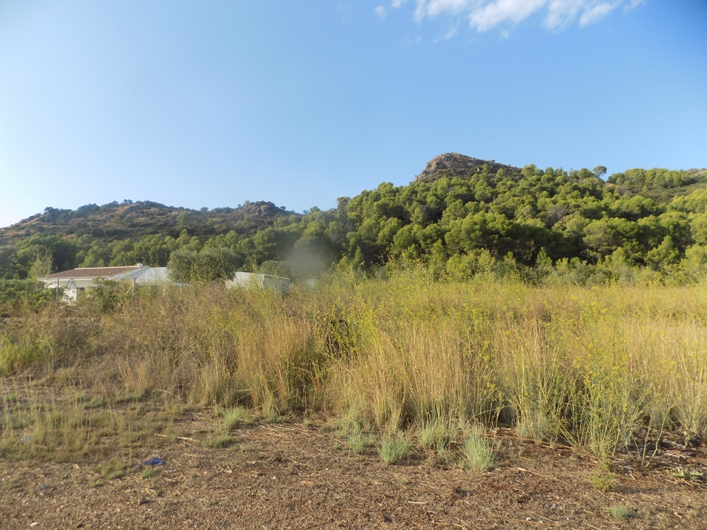 terreno-urbano en murla ·  145000€