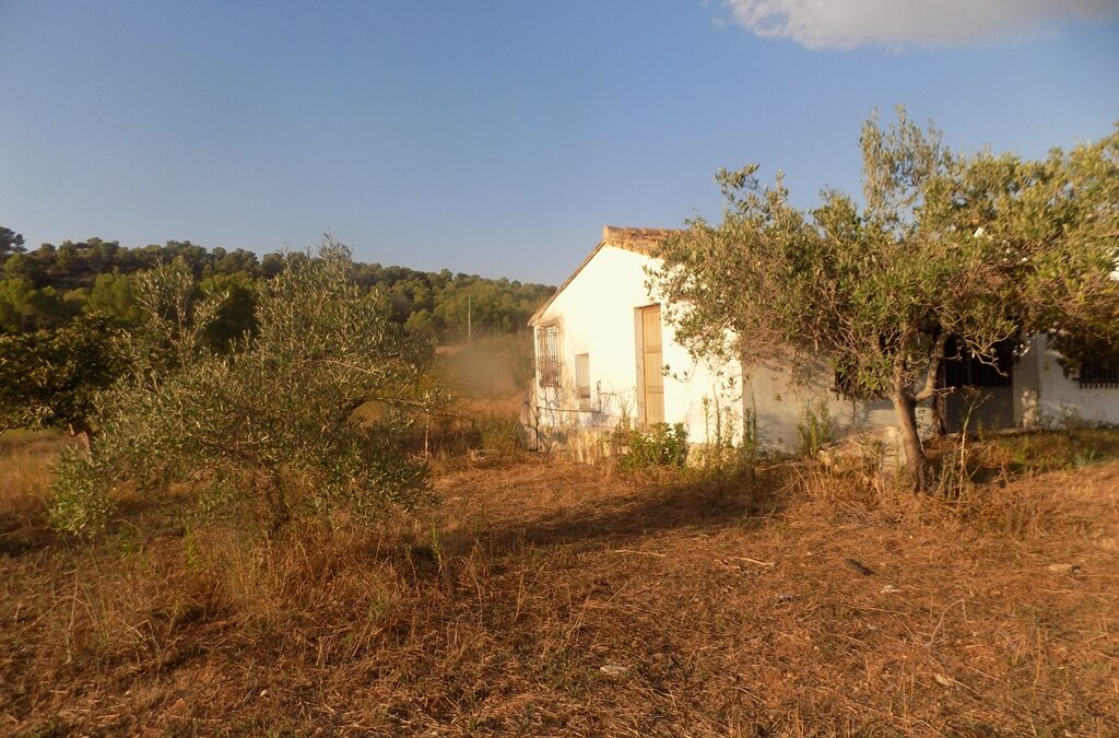 Se vende terreno en Murla con una casita