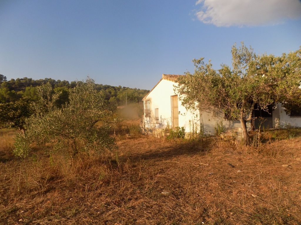 terreno-urbano en murla ·  145000€