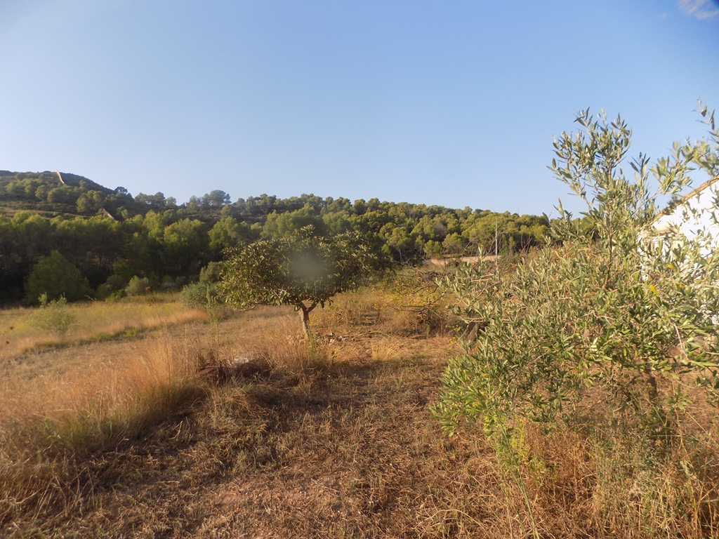 terreno-urbano en murla ·  145000€