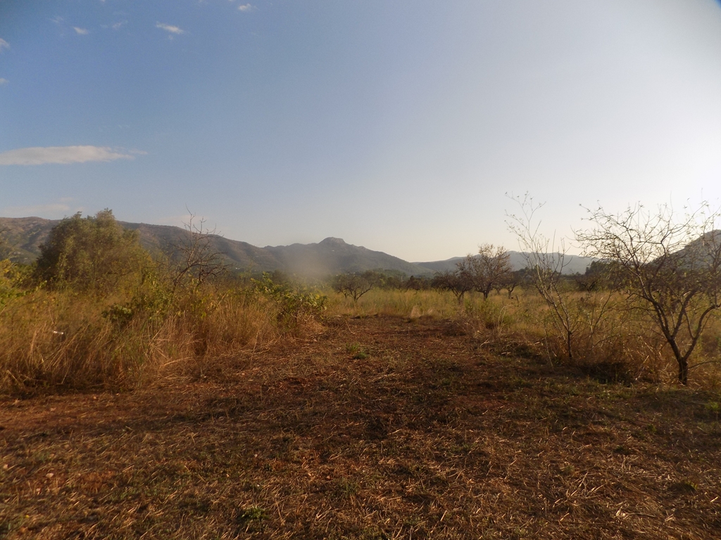 terreno-urbano en murla ·  145000€