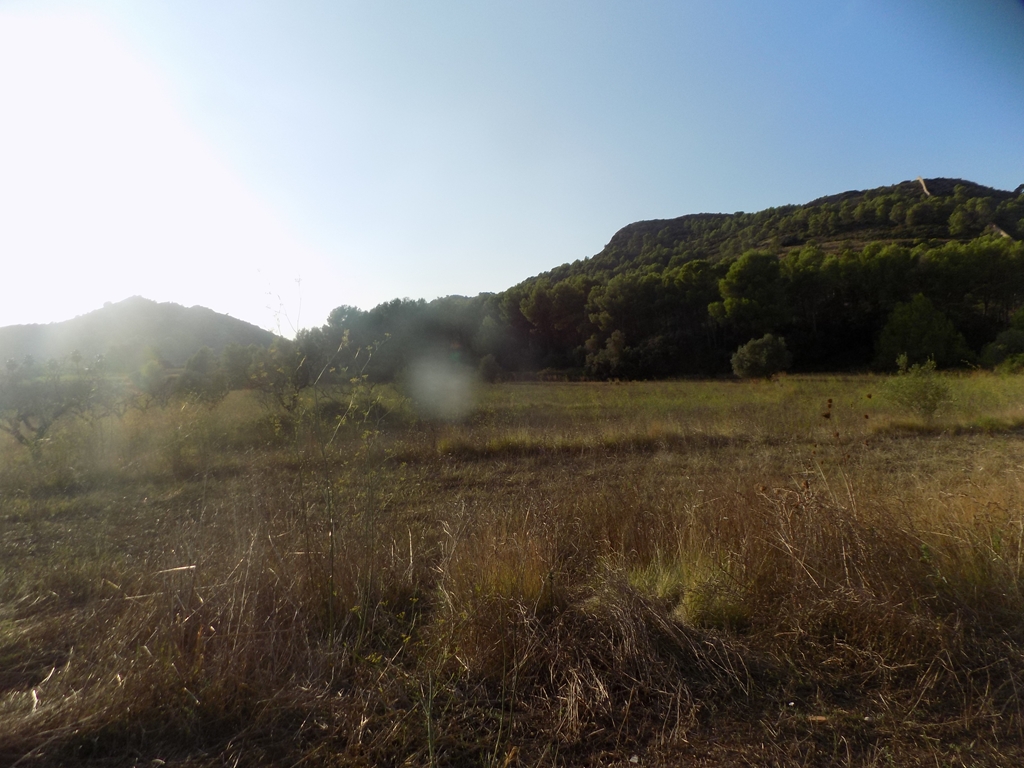 terreno-urbano en murla ·  145000€