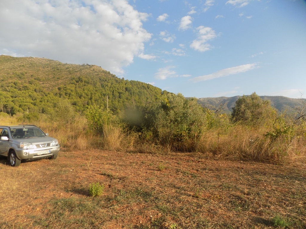 terreno-urbano en murla ·  145000€
