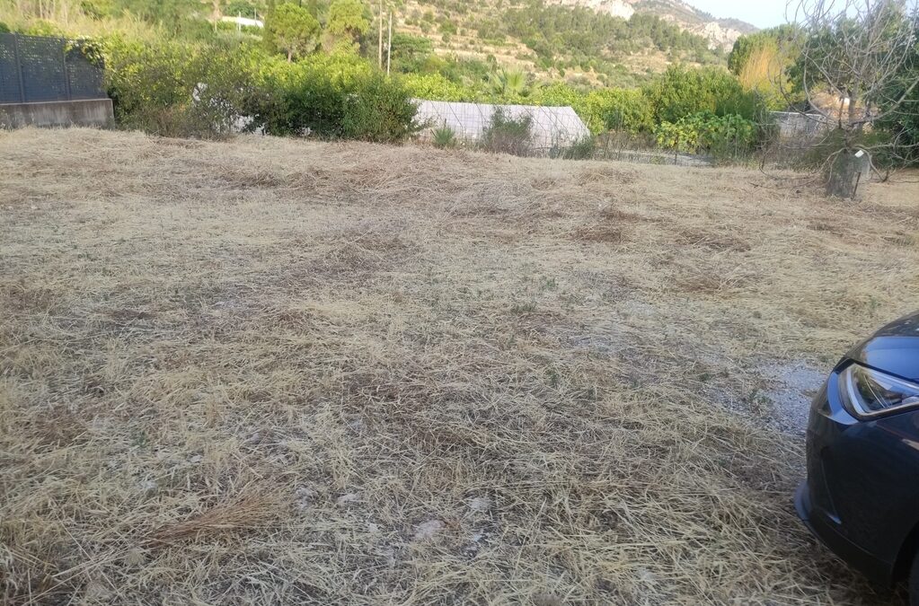 Se alquila almacen en La Llosa de Camacho
