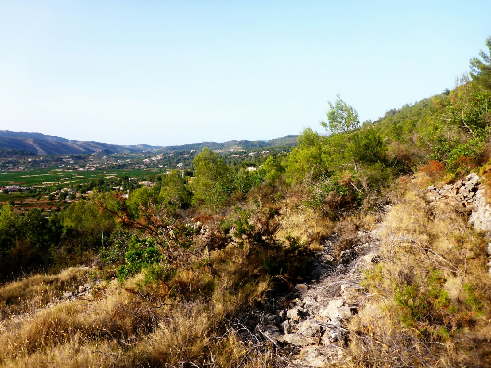 parcela-urbana en lliber ·  130000€