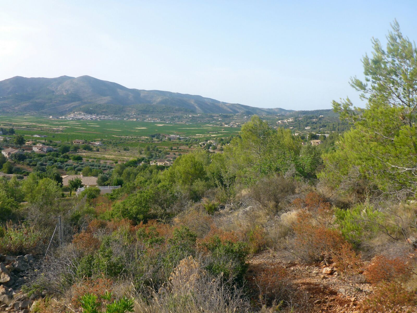 parcela-urbana en lliber ·  130000€