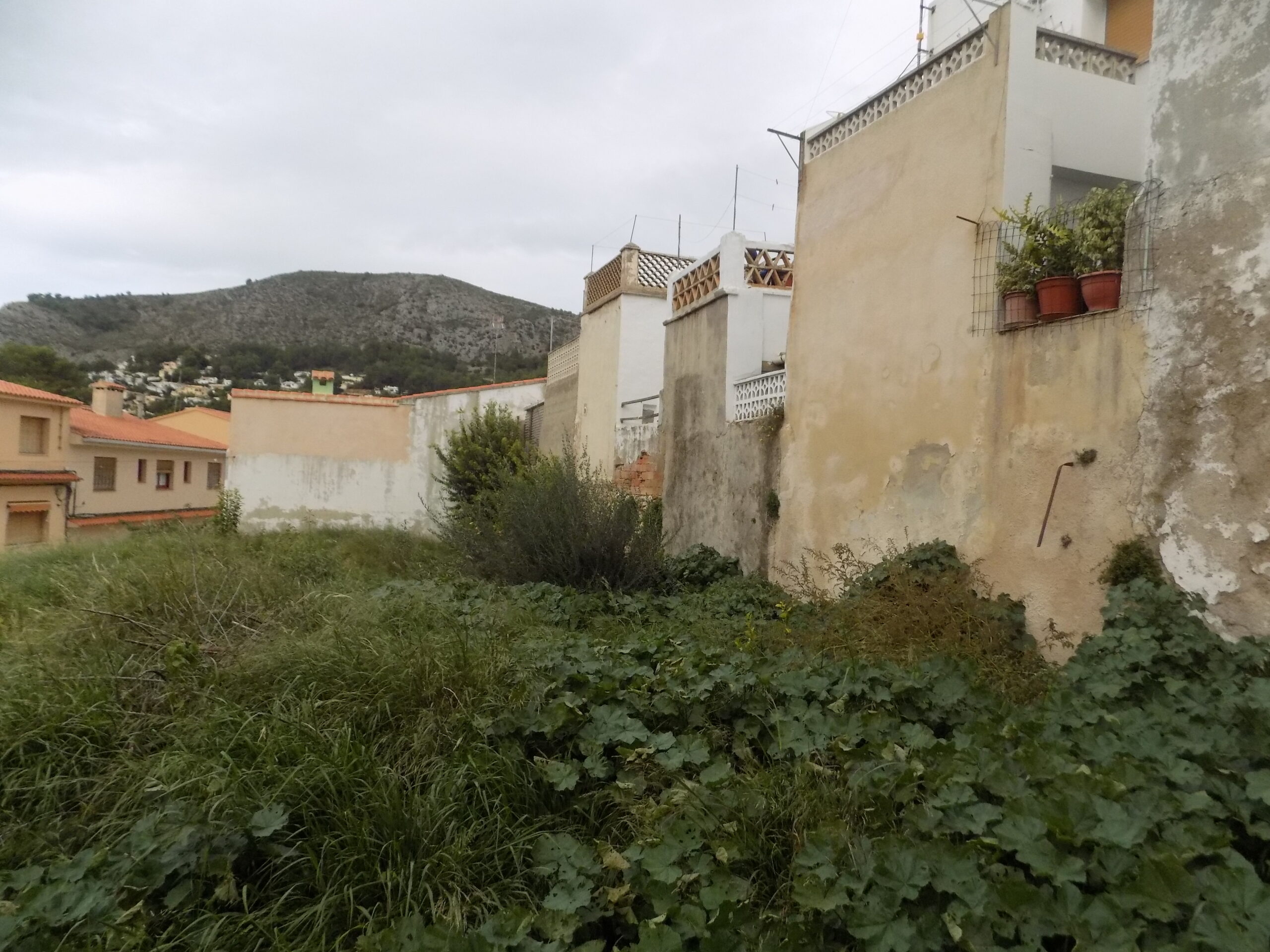 parcela-urbana en alcalali ·  115000€
